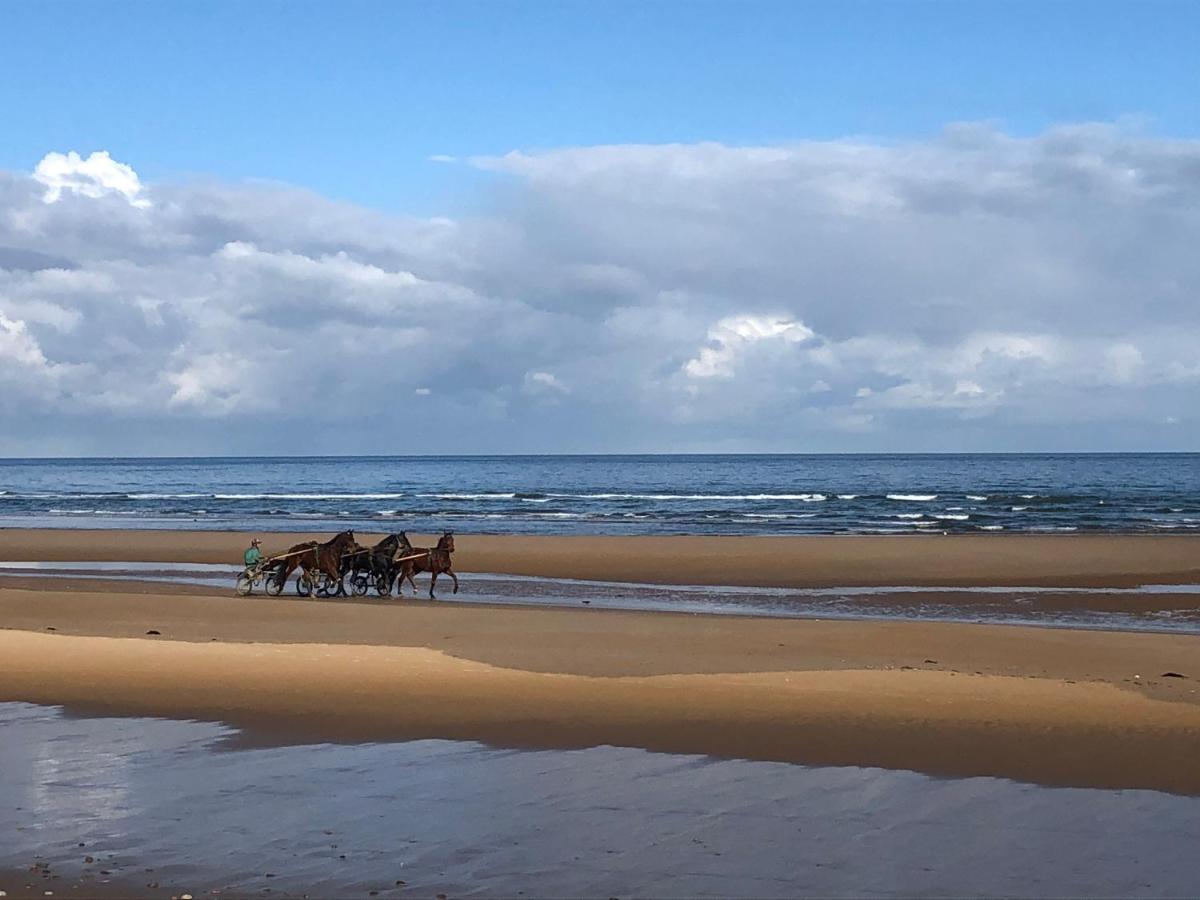 Maison Proche Omaha Beach Vue Imprenable Sur Haras Etreham 외부 사진